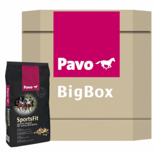 Pavo SportsFit Big Box 450 kg