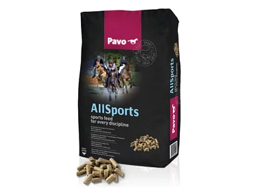 Sport és teljesítmény