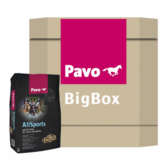 Pavo AllSports - Big Box 725 kg 